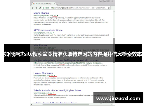 如何通过site搜索命令精准获取特定网站内容提升信息检索效率